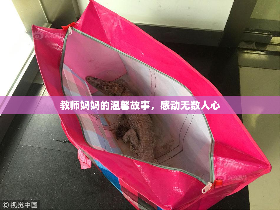 教师妈妈的温馨故事，感动无数人心