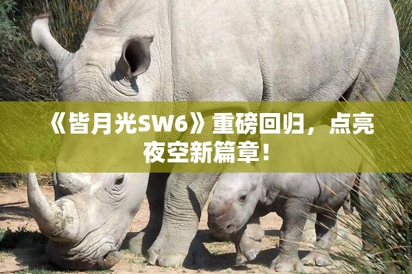 《皆月光SW6》重磅回归，点亮夜空新篇章！