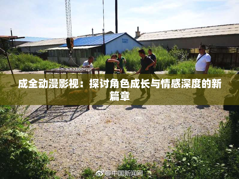 成全动漫影视：探讨角色成长与情感深度的新篇章