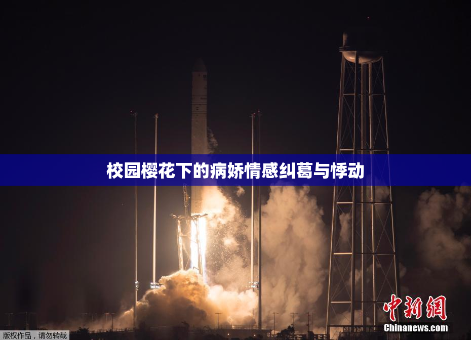 校园樱花下的病娇情感纠葛与悸动