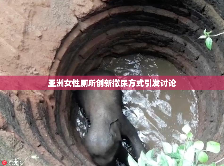 亚洲女性厕所创新撒尿方式引发讨论