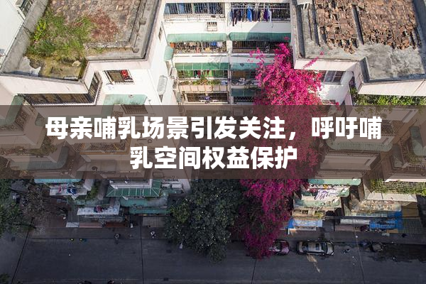 母亲哺乳场景引发关注，呼吁哺乳空间权益保护
