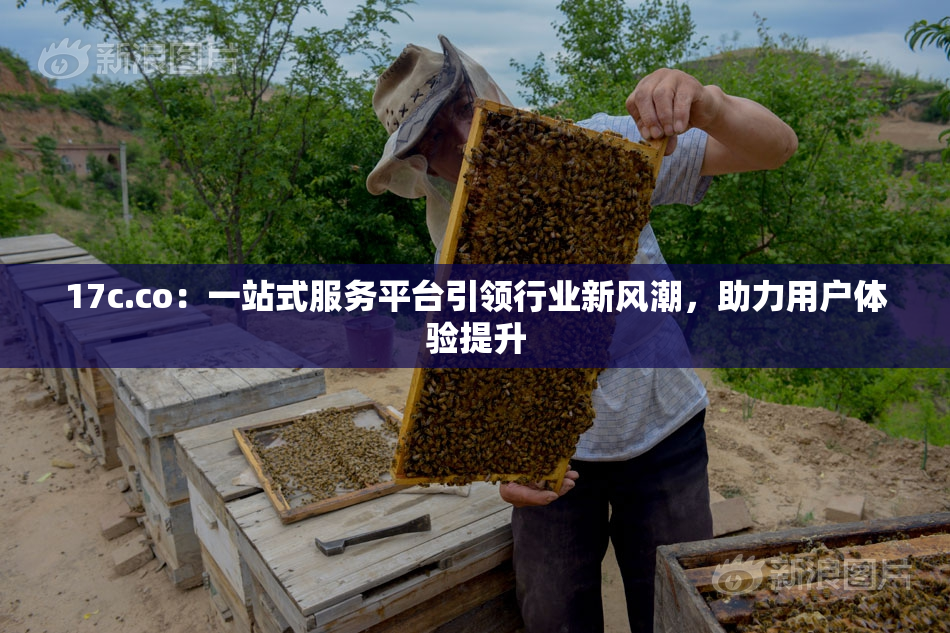17c.co：一站式服务平台引领行业新风潮，助力用户体验提升