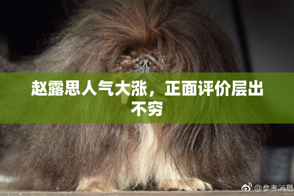 赵露思人气大涨，正面评价层出不穷