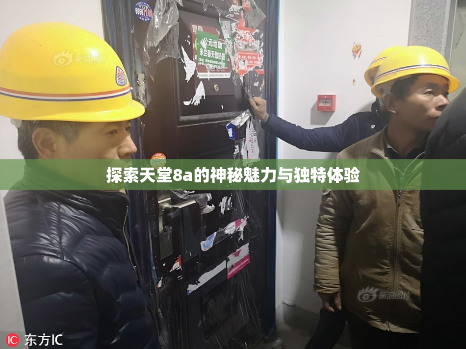 探索天堂8a的神秘魅力与独特体验