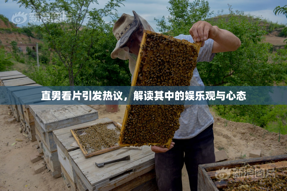 直男看片引发热议，解读其中的娱乐观与心态