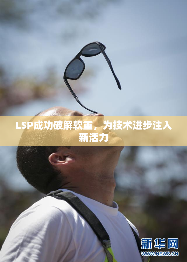 LSP成功破解软重，为技术进步注入新活力