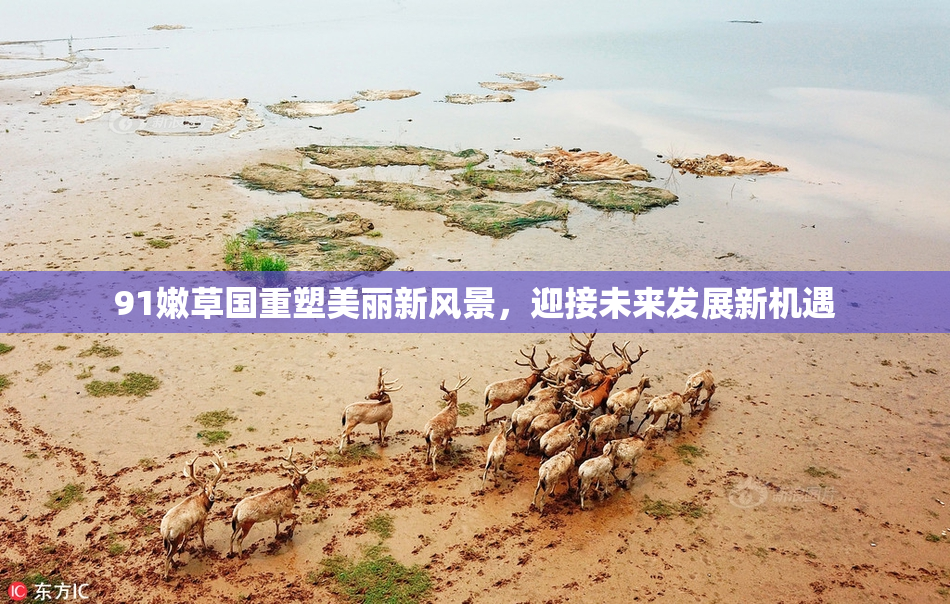91嫩草国重塑美丽新风景，迎接未来发展新机遇