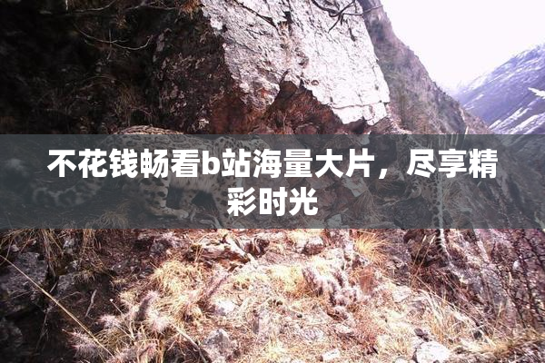 不花钱畅看b站海量大片，尽享精彩时光