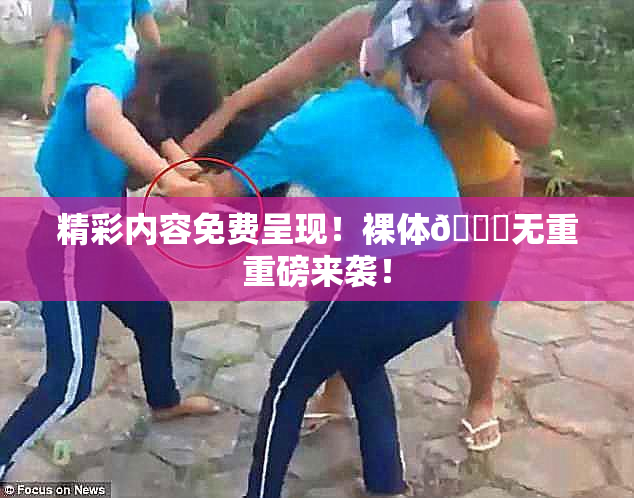 精彩内容免费呈现！裸体🔞无重重磅来袭！