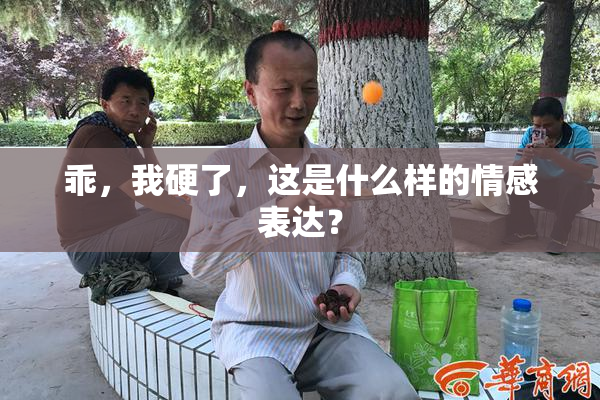 乖，我硬了，这是什么样的情感表达？