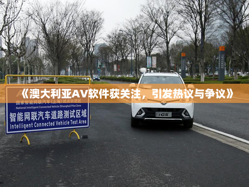 《澳大利亚AV软件获关注，引发热议与争议》