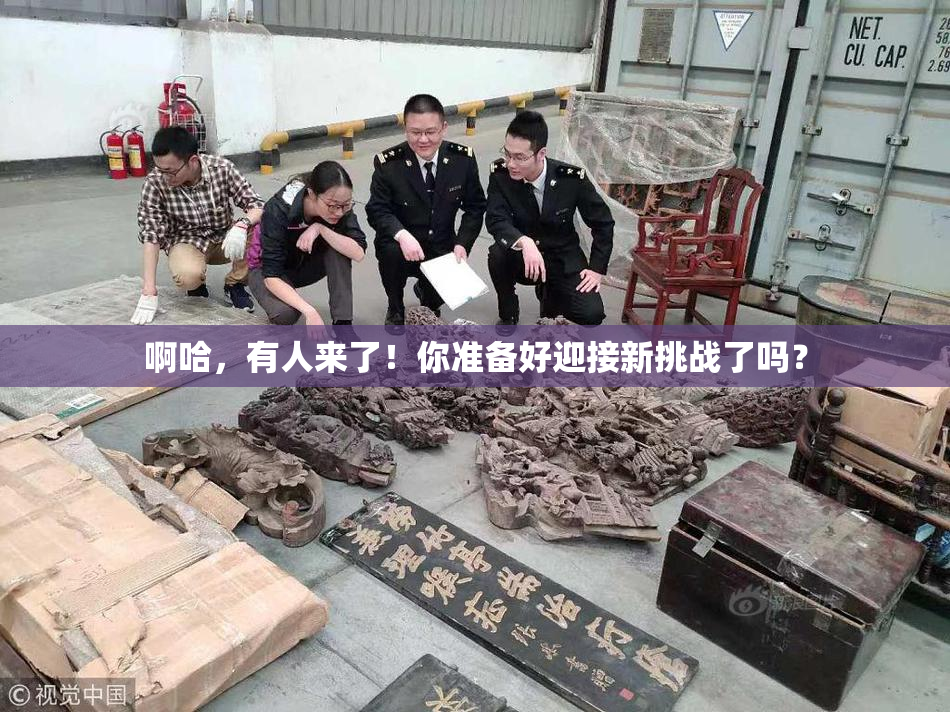 啊哈，有人来了！你准备好迎接新挑战了吗？