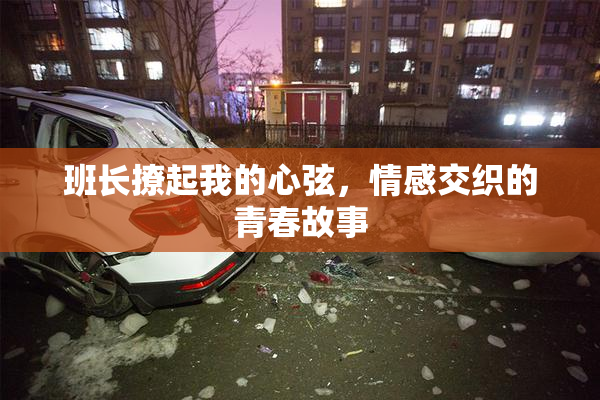 班长撩起我的心弦，情感交织的青春故事