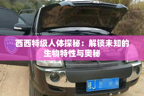 西西特级人体探秘：解锁未知的生物特性与奥秘