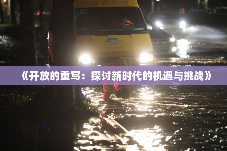 《开放的重写：探讨新时代的机遇与挑战》