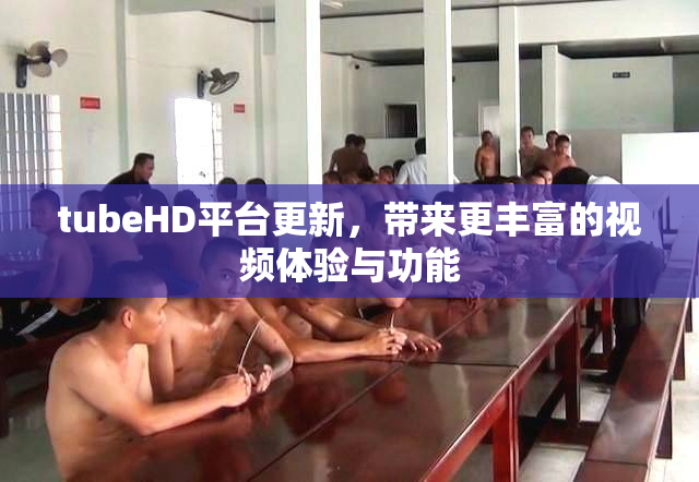 tubeHD平台更新，带来更丰富的视频体验与功能