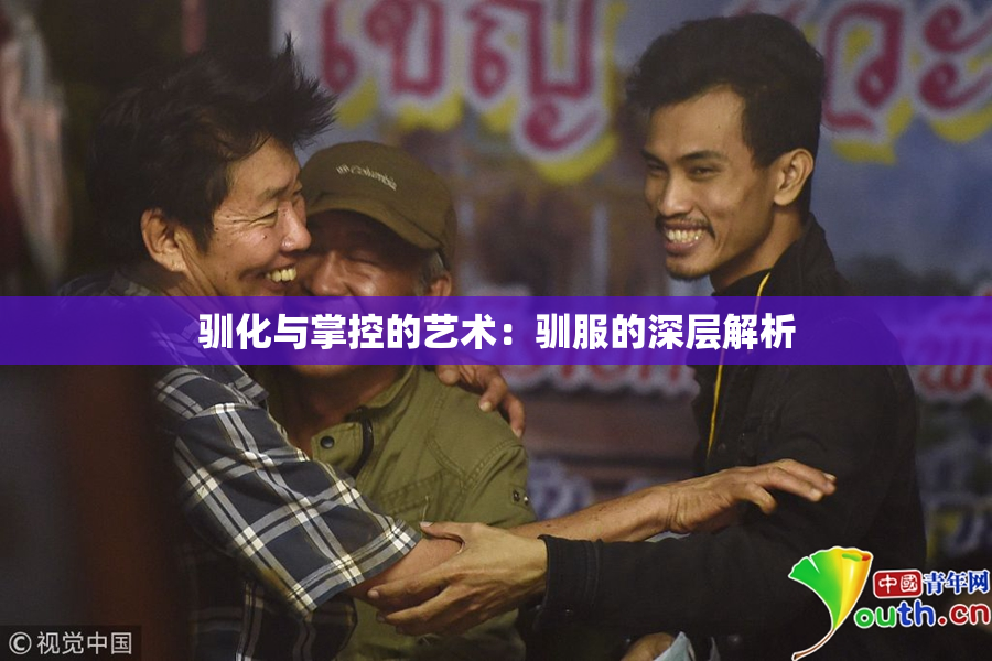 驯化与掌控的艺术：驯服的深层解析