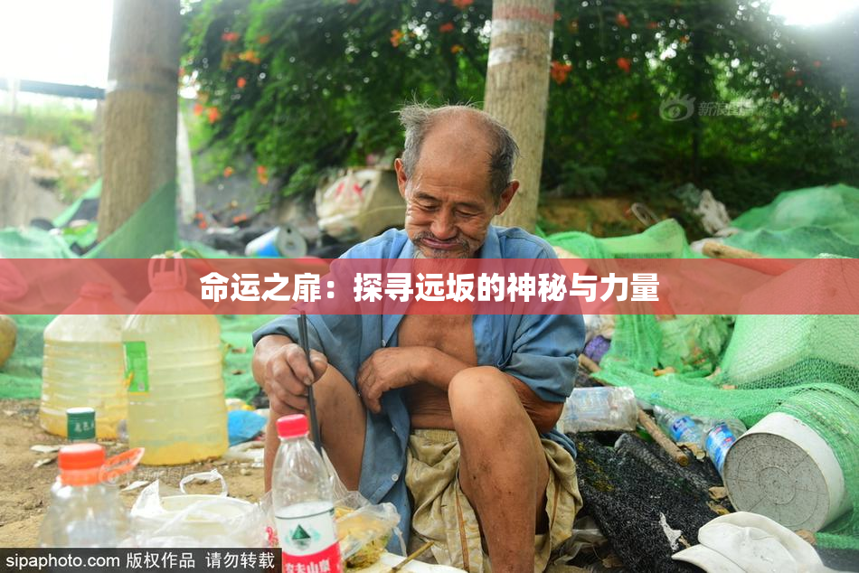 命运之扉：探寻远坂的神秘与力量