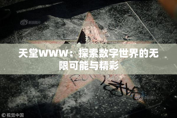 天堂WWW：探索数字世界的无限可能与精彩