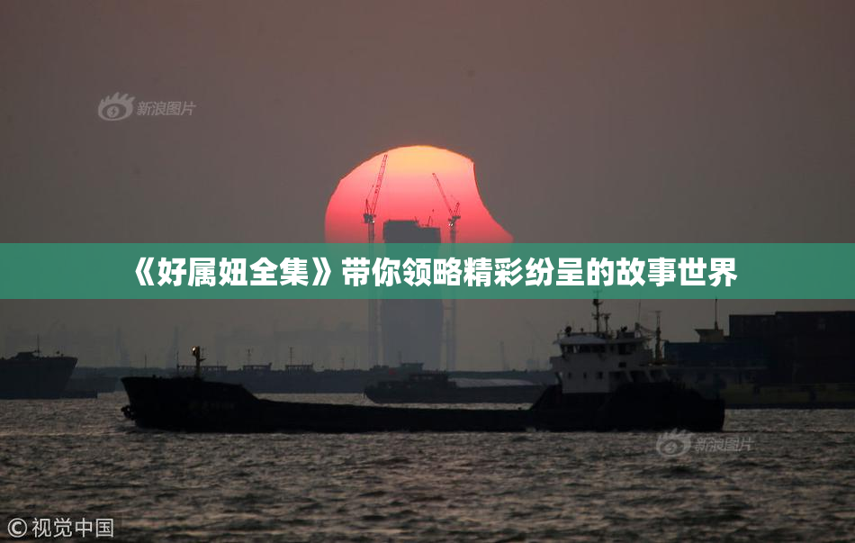 《好属妞全集》带你领略精彩纷呈的故事世界