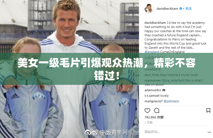 美女一级毛片引爆观众热潮，精彩不容错过！