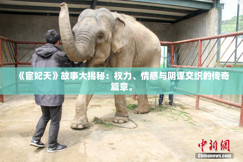 《宦妃天》故事大揭秘：权力、情感与阴谋交织的传奇篇章。