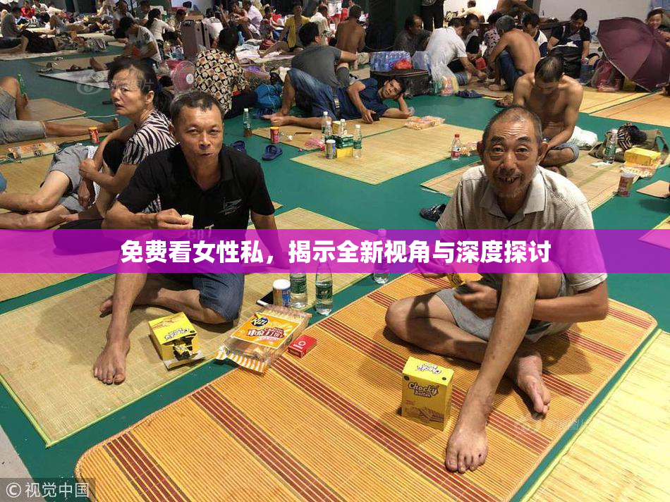 免费看女性私，揭示全新视角与深度探讨