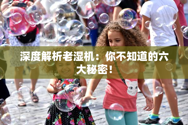 深度解析老湿机：你不知道的六大秘密！