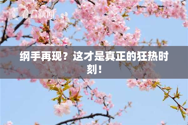 纲手再现？这才是真正的狂热时刻！