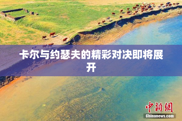 卡尔与约瑟夫的精彩对决即将展开
