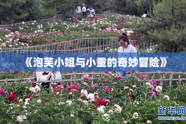 《泡芙小姐与小重的奇妙冒险》