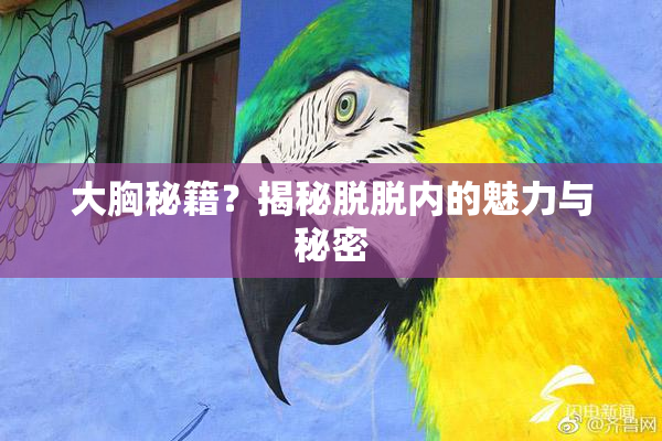 大胸秘籍？揭秘脱脱内的魅力与秘密