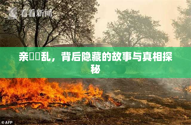 亲妺妺乱，背后隐藏的故事与真相探秘