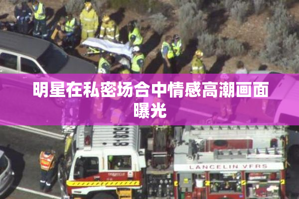 明星在私密场合中情感高潮画面曝光