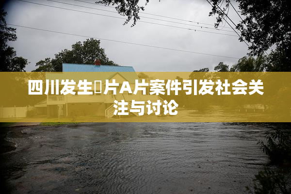 四川发生婬片A片案件引发社会关注与讨论