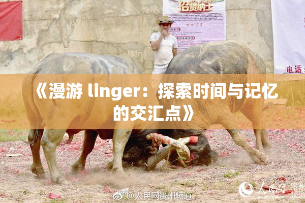 《漫游 linger：探索时间与记忆的交汇点》