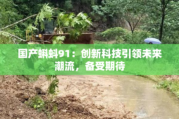国产蝌蚪91：创新科技引领未来潮流，备受期待