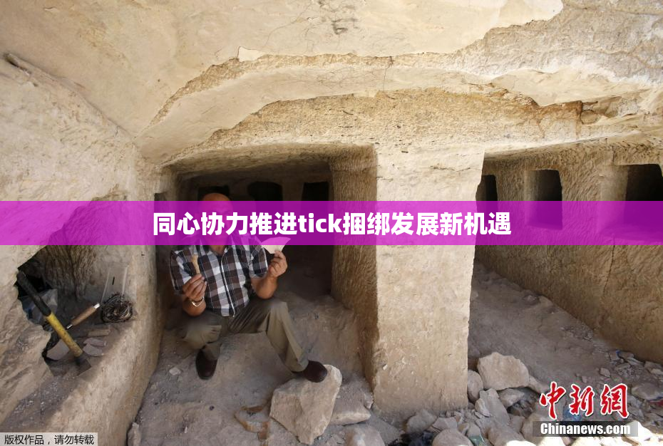 同心协力推进tick捆绑发展新机遇