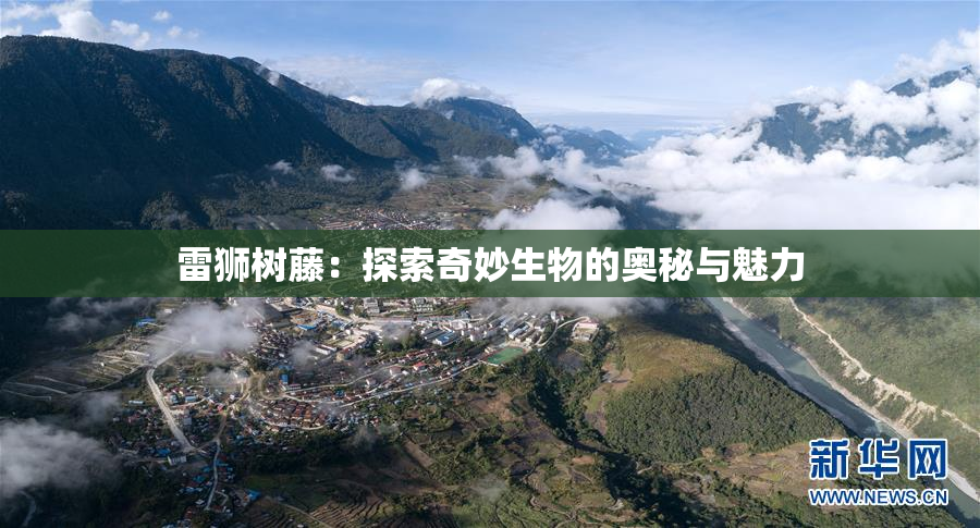 雷狮树藤：探索奇妙生物的奥秘与魅力