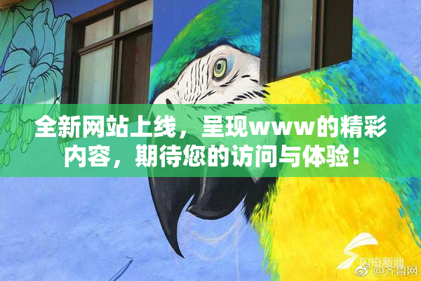全新网站上线，呈现www的精彩内容，期待您的访问与体验！