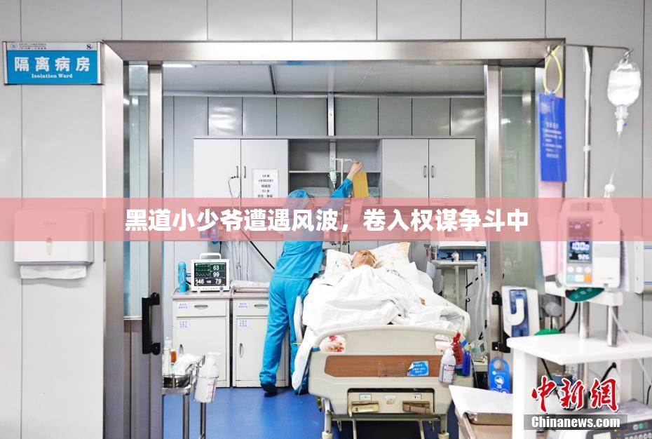 黑道小少爷遭遇风波，卷入权谋争斗中
