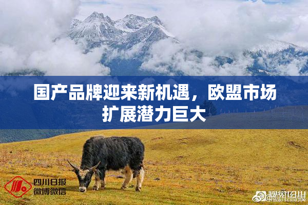 国产品牌迎来新机遇，欧盟市场扩展潜力巨大