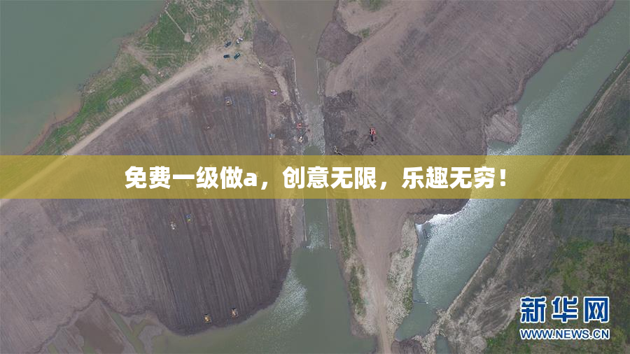 免费一级做a，创意无限，乐趣无穷！