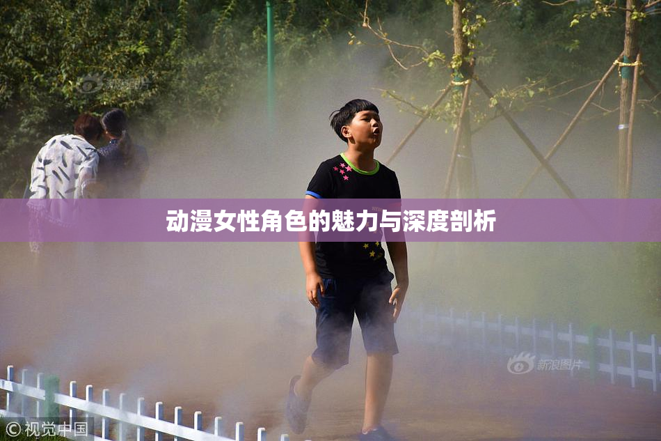 动漫女性角色的魅力与深度剖析