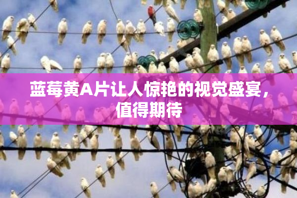 蓝莓黄A片让人惊艳的视觉盛宴，值得期待