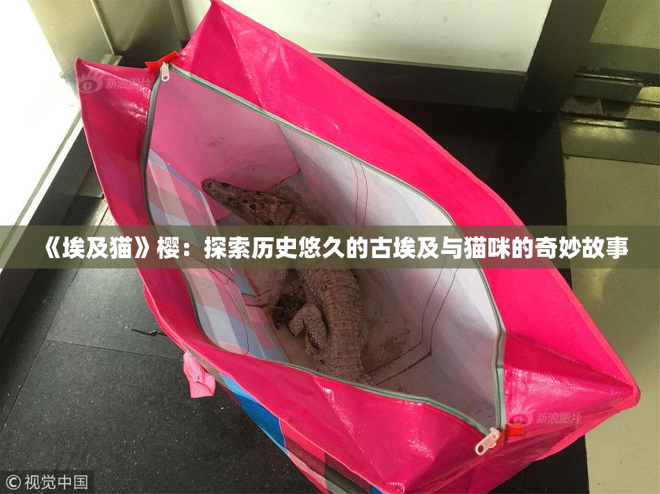 《埃及猫》樱：探索历史悠久的古埃及与猫咪的奇妙故事