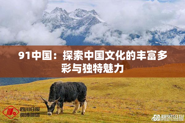 91中国：探索中国文化的丰富多彩与独特魅力
