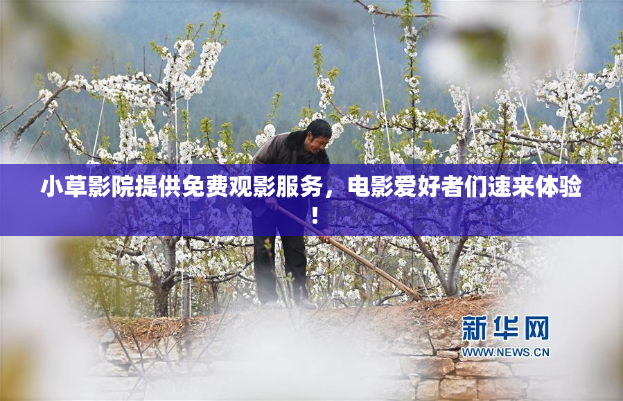 小草影院提供免费观影服务，电影爱好者们速来体验！