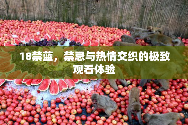 18禁蓝，禁忌与热情交织的极致观看体验